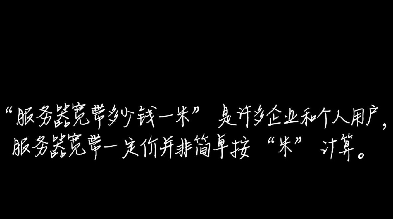 服务器宽带一米多少钱？2025最新报价及影响因素解析