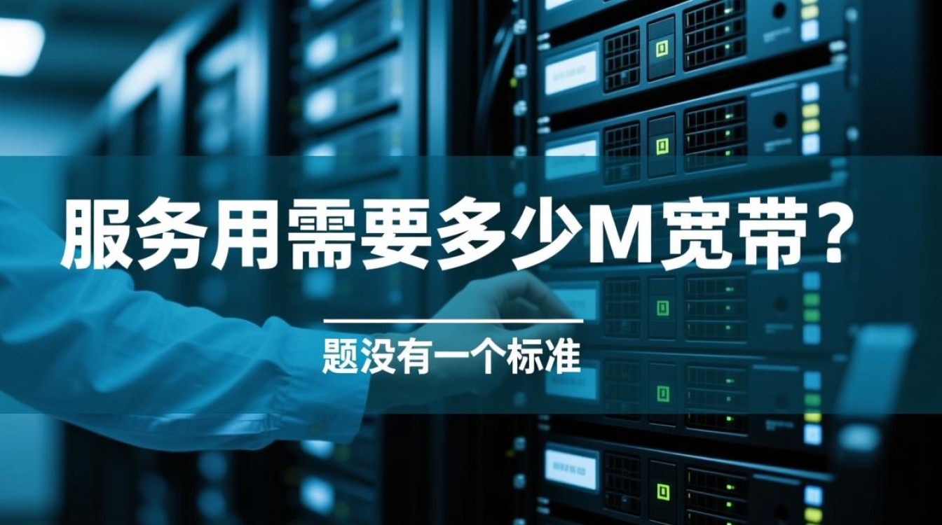 服务器需要多少m宽带
