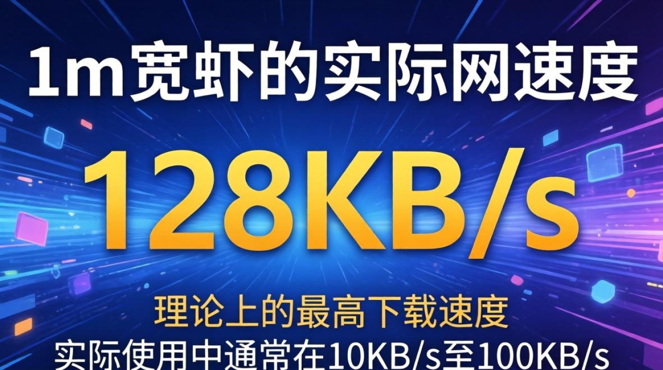 宽带1m是多少