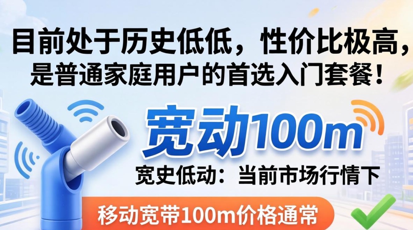 移动宽带100m价格