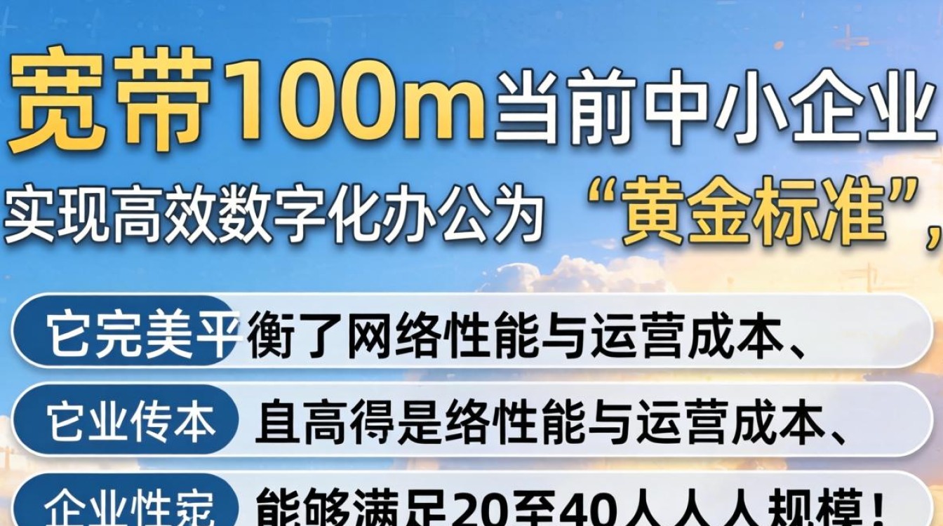 企业宽带100m