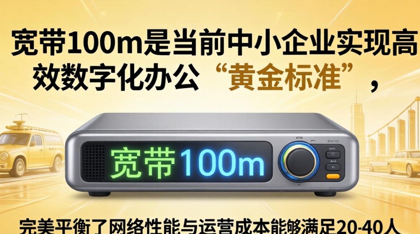 企业宽带100m